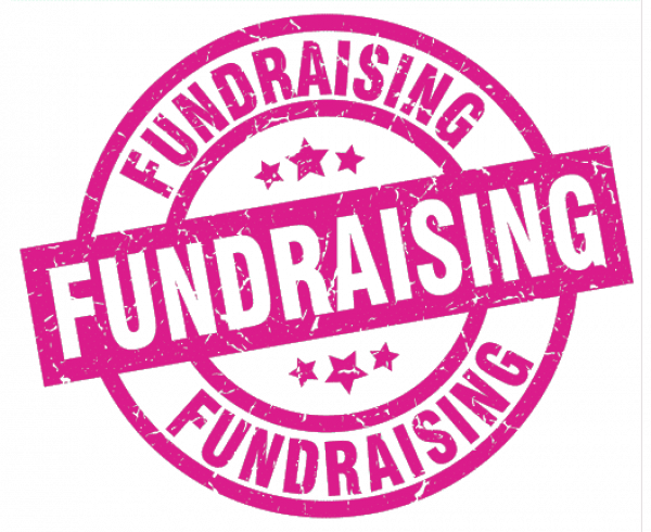 Lapel Pin Fundraisers