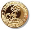 custom lapel pin color 24k gold plating