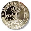 custom lapel pin color gold