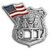 Lapel Pin with cutouts