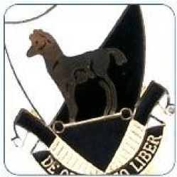 Cloisonne Lapel Pin Example