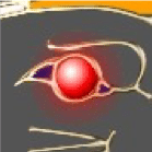 Lapel Pin Blinking LED Light Example