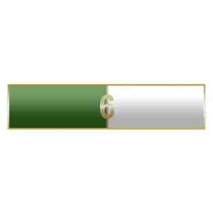 6 Years Of Service Green And White Citation Bar